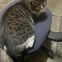 おやすみいただきました。