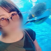 ヒビキ
