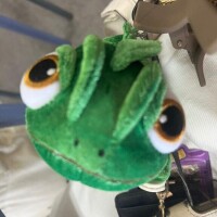チナ