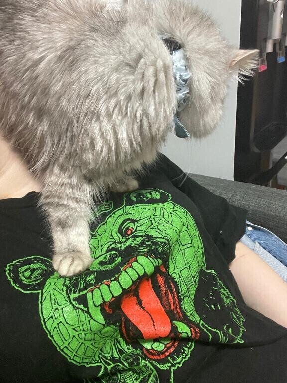 ぬくぬくしてます。