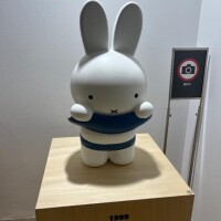 ツムギ