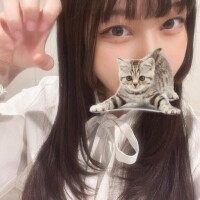 ついたにゃ