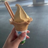 今日から¨???