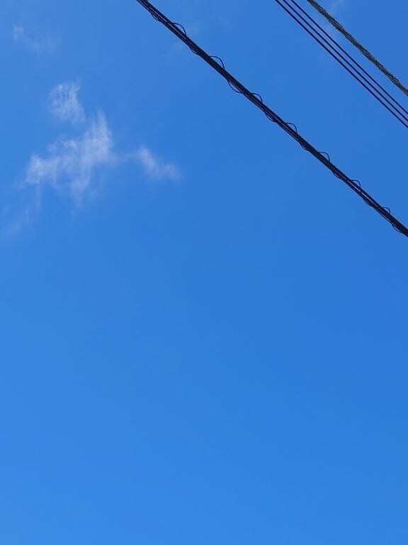 本日は晴天なり！