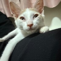 アカウント凍結？！？?