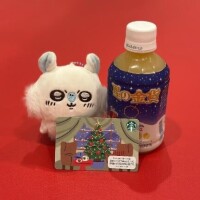 2025年11月8日(土)のお礼