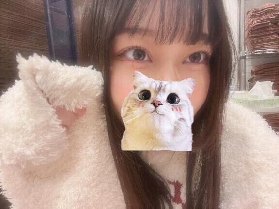 にゃんだ！！！