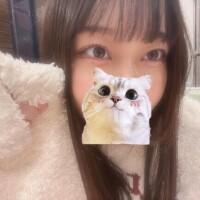 にゃんだ！！！