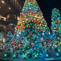 2日目もありがとう～?