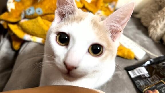 シフト出しました??