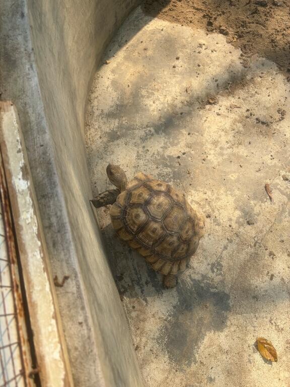 ごめんなさい！