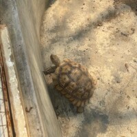 ごめんなさい！