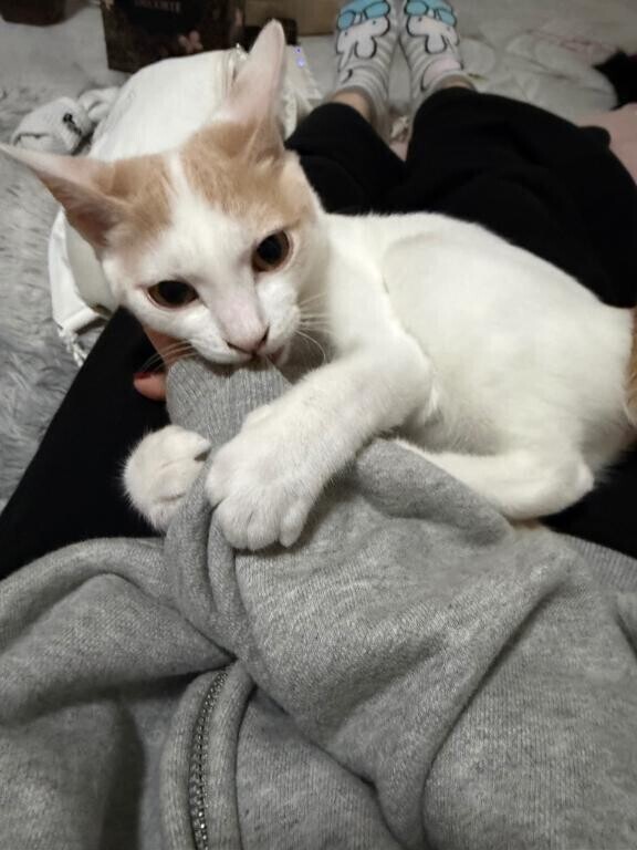 明日から受付開始??♀?