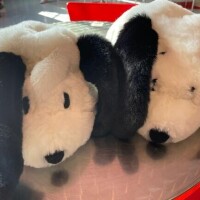 ごめんなさい?????♀?