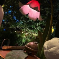 2日目お願いします?