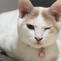 今日から出勤なり??