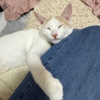 出勤してます！！