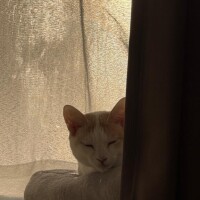 今日もよろちくび??