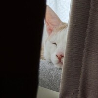 15:00～出勤します??♀?