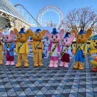 お久しぶりです。