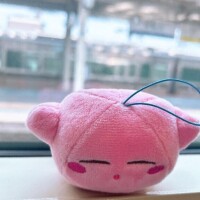 本日ごめんなさい?