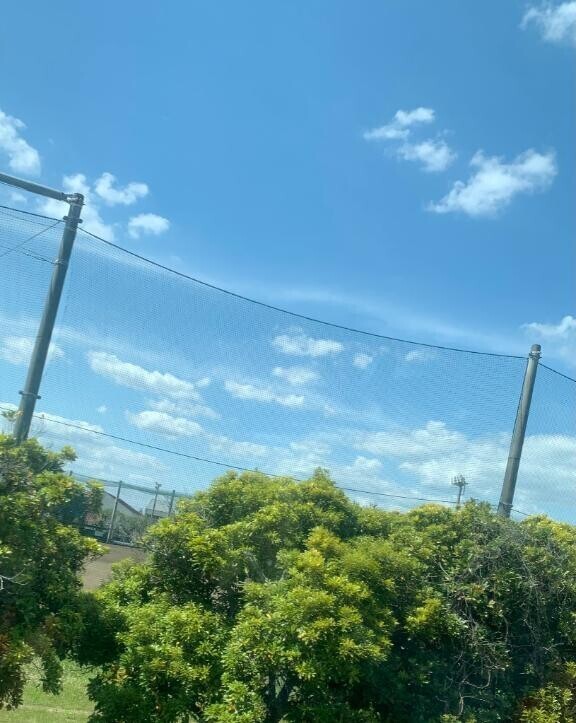 てんきが良しっ?