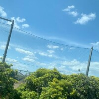 ヒカリ