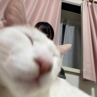 今日から3日間いるヨ??