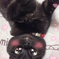 おはよん?