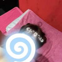 今日も