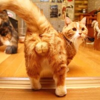 お待ちしています?