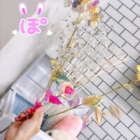 近状報告??*。