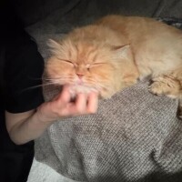 おはよう