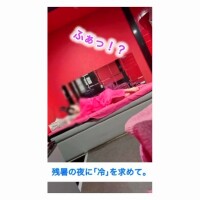 動画(音声注意)*。