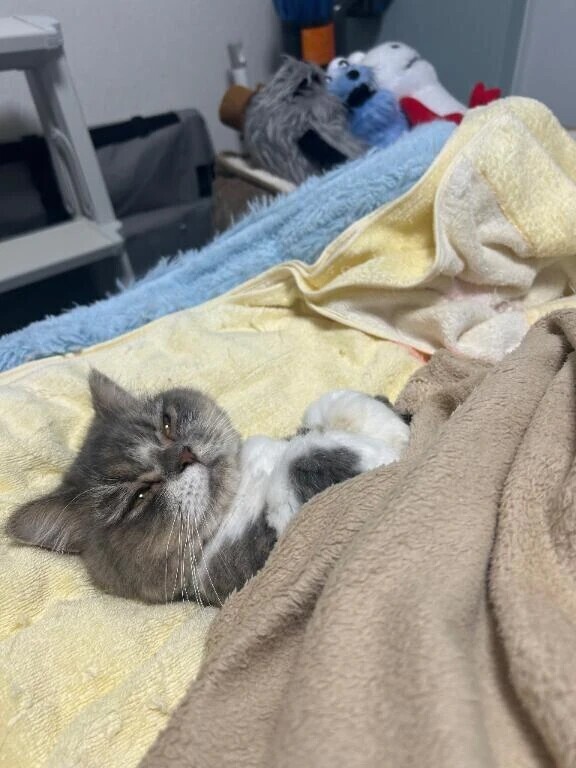 🙇🏻‍♀️ごめんなさい