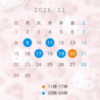 11月出勤予定????