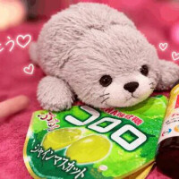 ( *´꒳`*)੭⁾⁾