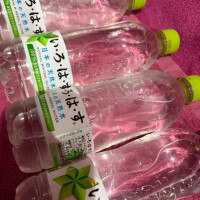 ‎🤍差し入れ‎🤍
