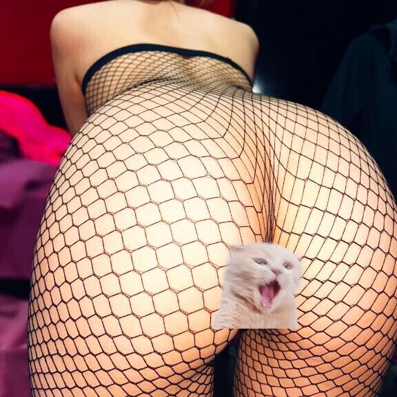?(?っ ? _?)