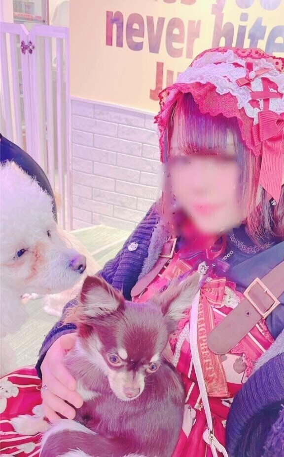 ?るいです?