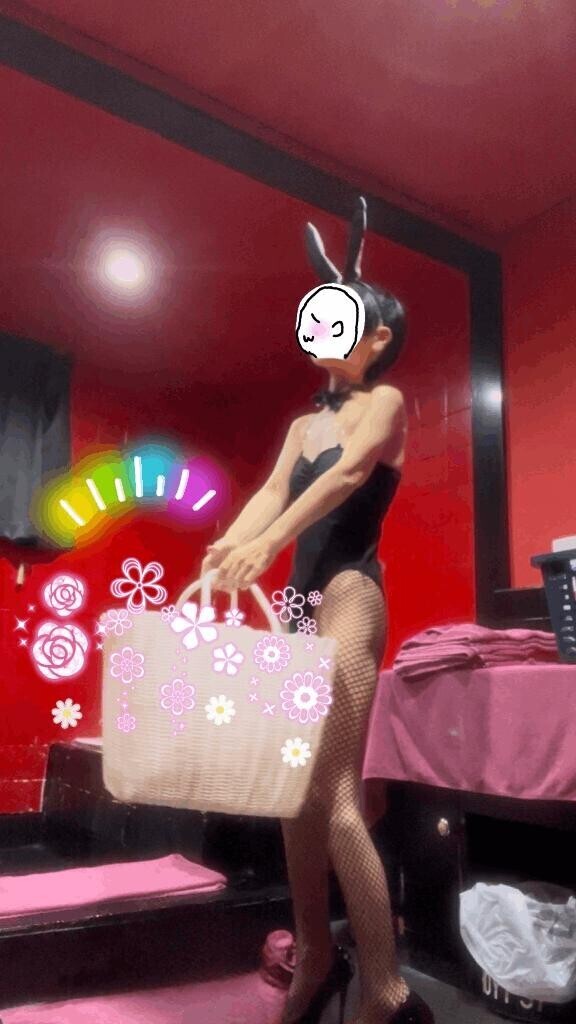 春の便りです? ??...??*。
