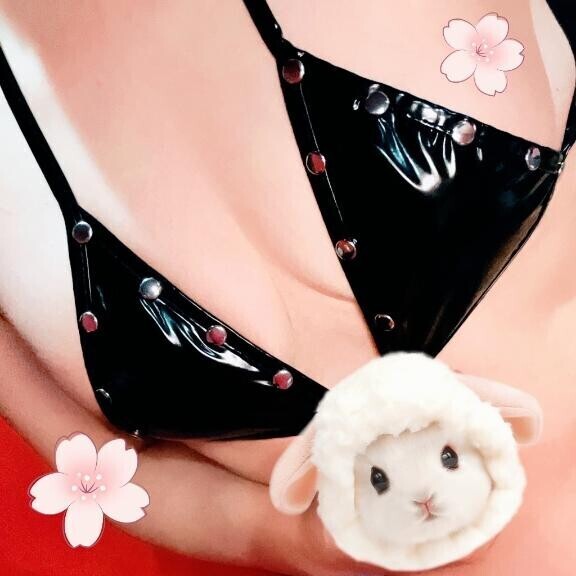 おは?