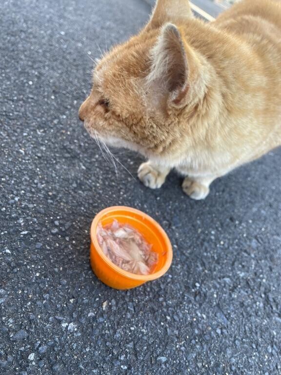 な