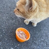 な