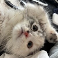 こんばんわ！