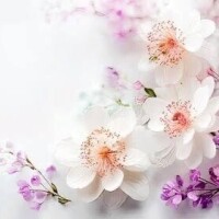 明日?????