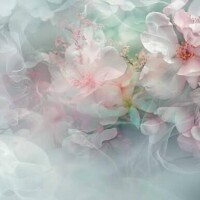 おはよーう