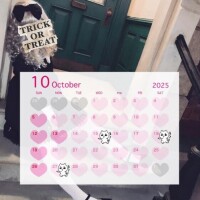 10月???