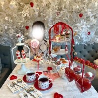 ?2月22日は猫の日だったね?