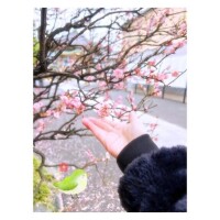 近状報告、Part.4??*。